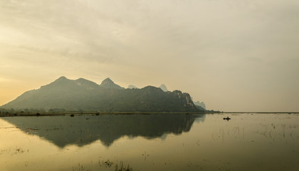 白茶有哪些品种 前十名