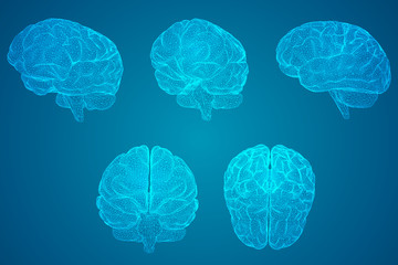 如何去除虾头上的黑色物