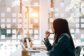 白茶有哪些品种 前十名