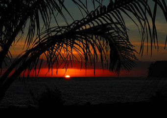 在广州南站怎样最快坐车到从化-如果要到别的汽车站做大概要坐什么车.要多久可以帮我列出来吗-