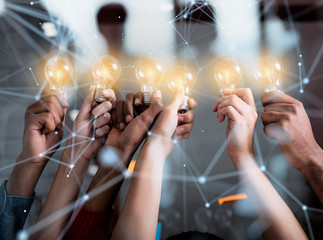 白茶有哪些品种 前十名