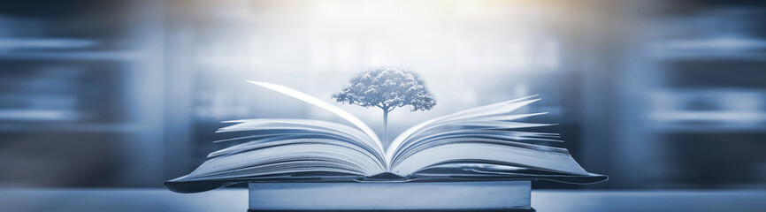 欧洲七国游注意些什么