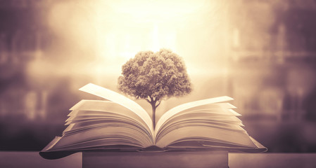 物业副经理的职责描述