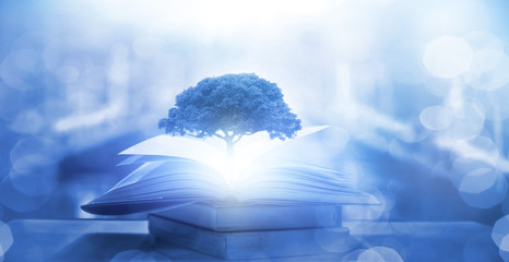 儿童吉他的尺寸怎么选择