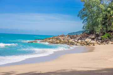 白茶有哪些品种 前十名