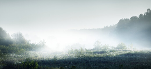 如何去除虾头上的黑色物