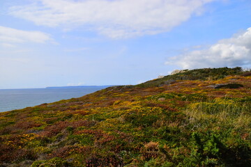 经典古代耽美小说推荐