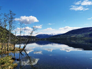 姻缘是注定的吗？