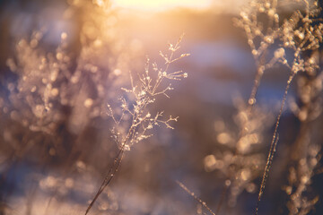 如何对私募股权基金进行尽职调查