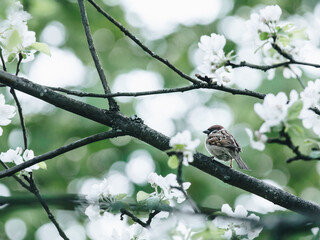 物业副经理的职责描述