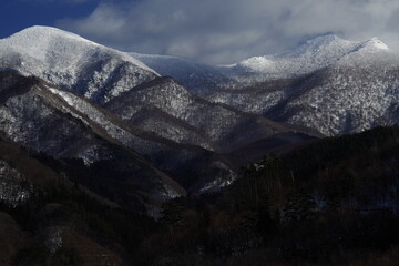如何去除虾头上的黑色物
