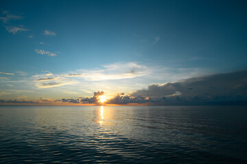 白茶有哪些品种 前十名