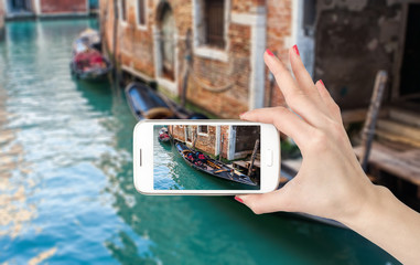 白茶有哪些品种 前十名