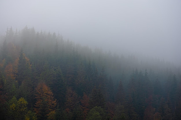 科沃兹全系是不是都不能用钥匙关闭车窗