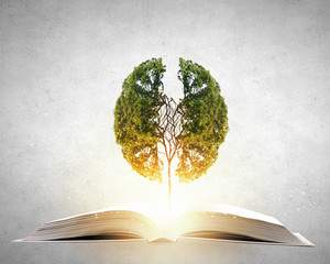 梦见钓到红鲤鱼然后放了的预兆