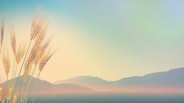 山东报到证的改派流程