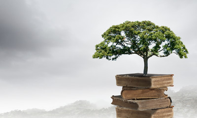 邯郸北湖十六_房价多少钱一平？