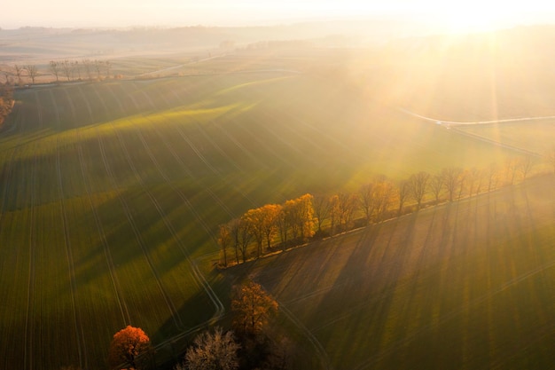 山东报到证的改派流程