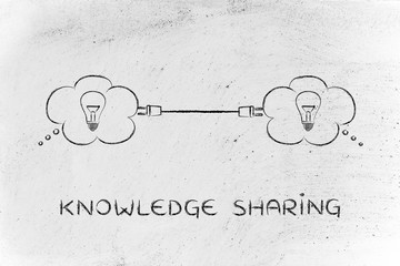 白茶有哪些品种 前十名