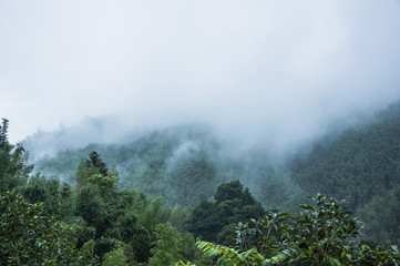 农产品初加工需要生产许可证吗